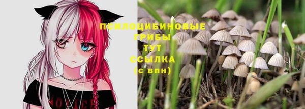 Альфа ПВП Михайловка