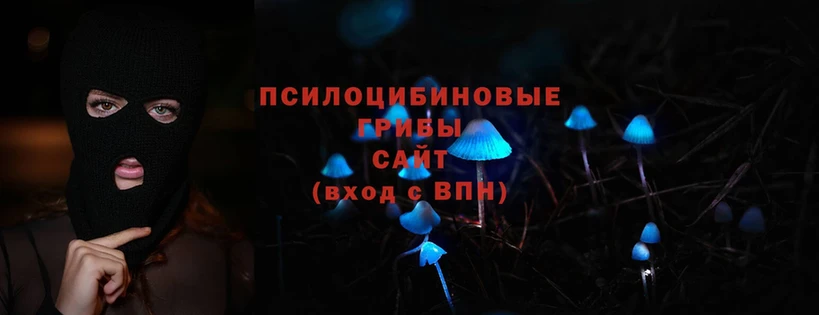 Псилоцибиновые грибы Psilocybine cubensis Нерчинск