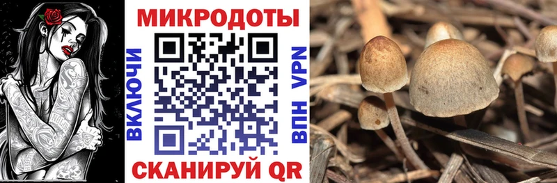 blacksprut ссылка  Нерчинск  Псилоцибиновые грибы MAGIC MUSHROOMS 